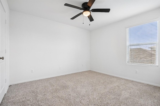 105 Canley Loop, Hutto, TX 78634 - photo 28