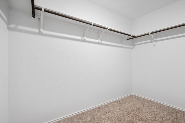 105 Canley Loop, Hutto, TX 78634 - photo 22