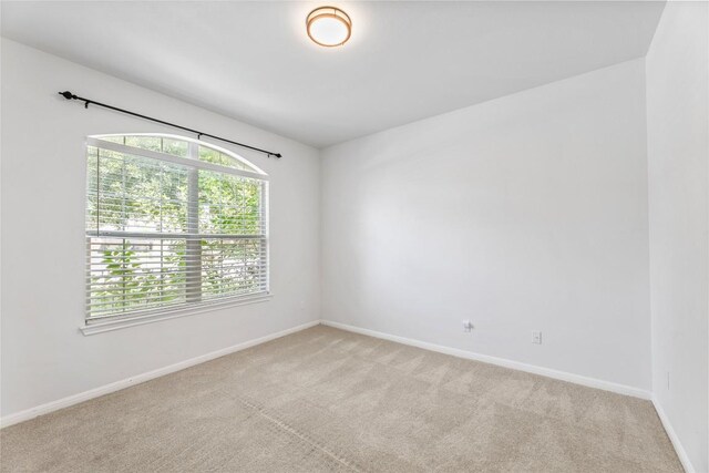18609 Sandy Bottom Dr, Pflugerville, TX 78660 - spare room featuring light carpet
