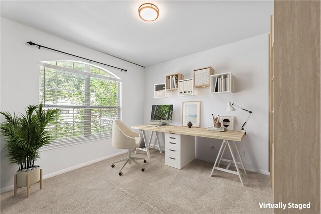 18609 Sandy Bottom Dr, Pflugerville, TX 78660 - home office with carpet floors and plenty of natural light