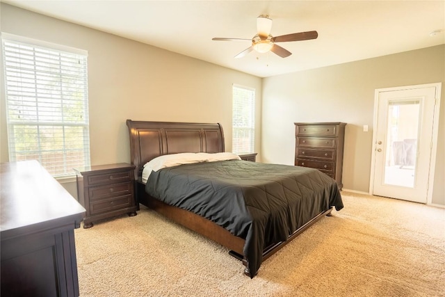 221 Culebra Dr, Georgetown, TX 78626 - photo 13