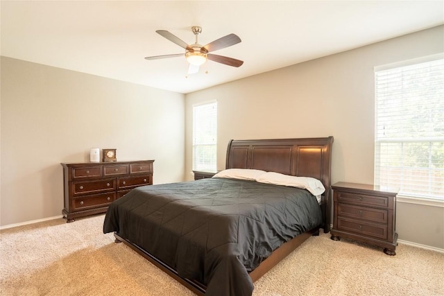 221 Culebra Dr, Georgetown, TX 78626 - photo 14