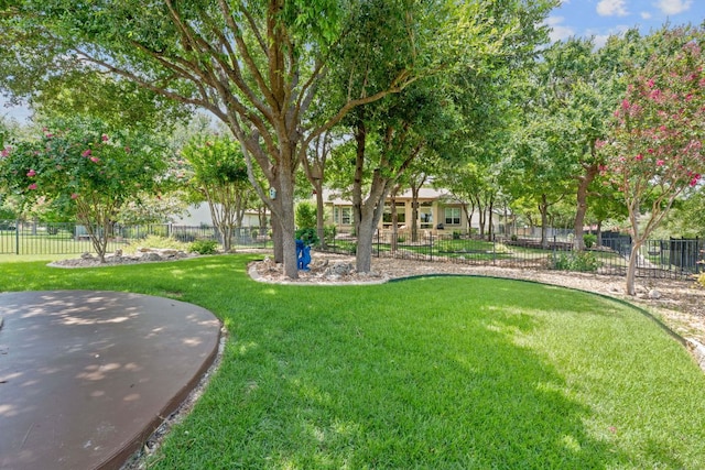 207 Guadalupe Trl, Georgetown, TX 78633 - photo 5
