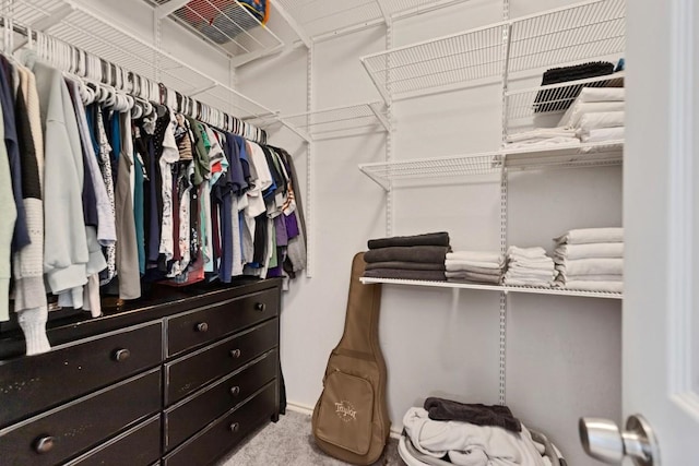 9024 Wildwater Way, Round Rock, TX 78681 - walk in closet featuring carpet floors