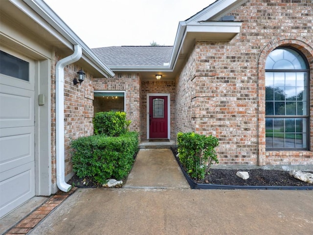 910 Blue Spring Cir, Round Rock, TX 78681 - view of exterior entry featuring brick siding and a shingled roof
