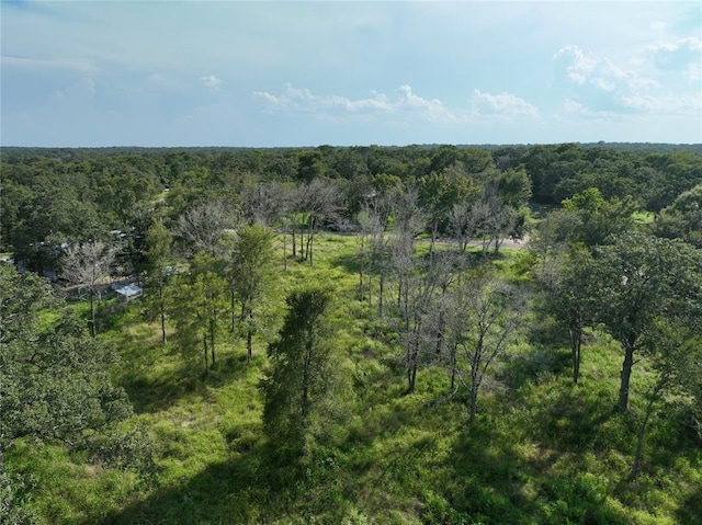 1190 Big Berry Rd, Somerville, TX 77879