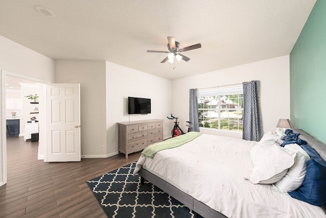 7513 Vail Valley Dr, Austin, TX 78749 - photo 18
