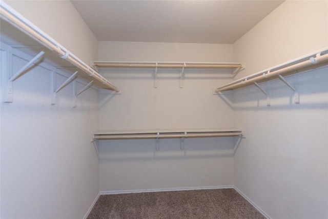 232 Reagor Dr, Taylor, TX 76574 - walk in closet with carpet