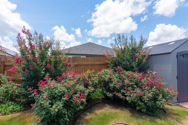 232 Reagor Dr, Taylor, TX 76574 - view of yard with a shed