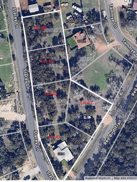 00000 Stacey Ln, Lago Vista, TX 78645 - photo 9
