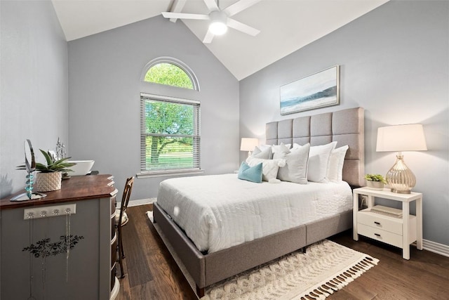 28 Long Creek Rd, Austin, TX 78737 - bedroom with wood finished floors, high vaulted ceiling, and ceiling fan