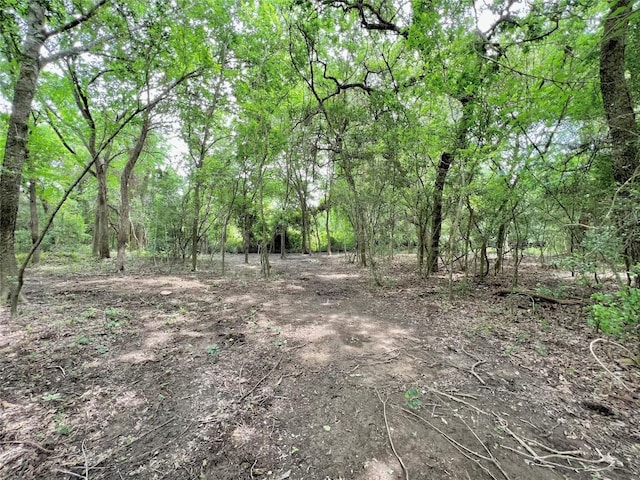TBD Fm 535, Rosanky, TX 78953