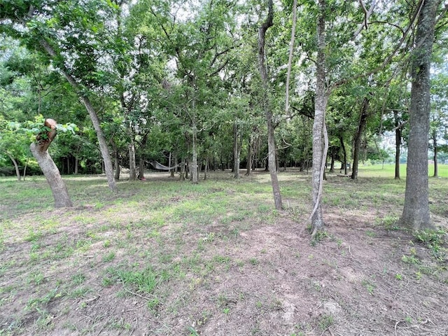 TBD Fm 535, Rosanky, TX 78953