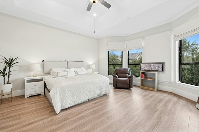 15408 Joseph Dr, Austin, TX 78734 - bedroom with light wood finished floors, a tray ceiling, and ceiling fan