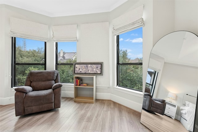 15408 Joseph Dr, Austin, TX 78734 - sitting room featuring light wood-style flooring and crown molding