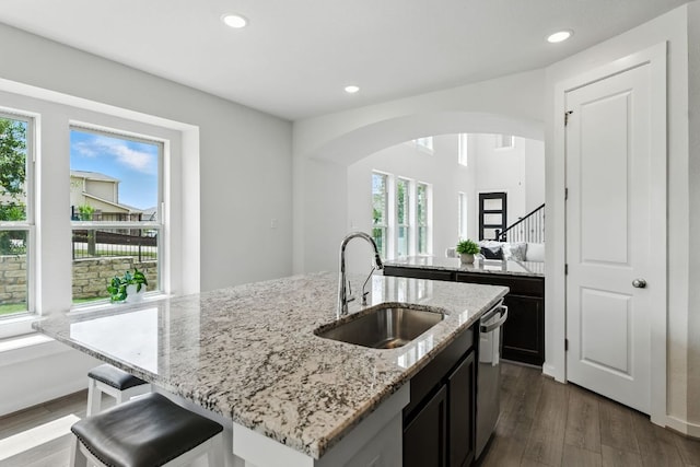 8100 Copper Prairie Bnd, Lago Vista, TX 78645 - kitchen with stainless steel dishwasher, healthy amount of natural light, a center island with sink, dark wood-style flooring, and recessed lighting