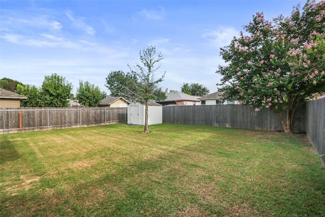216 Watergate Way, Hutto, TX 78634 - fenced backyard featuring a shed