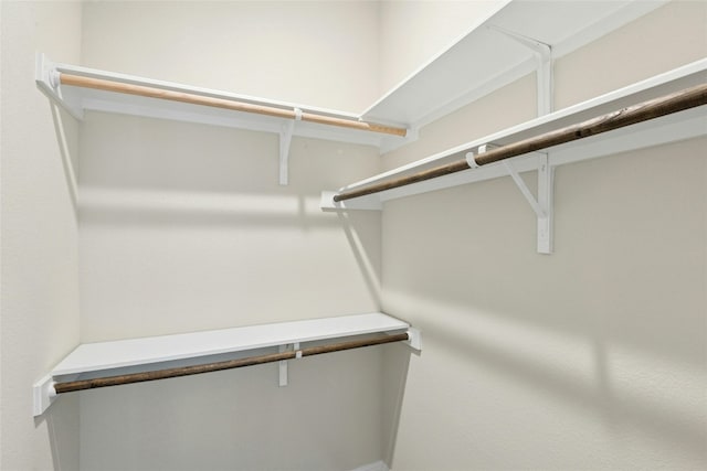 2309 Lone Spur Cv, Round Rock, TX 78665 - view of walk in closet