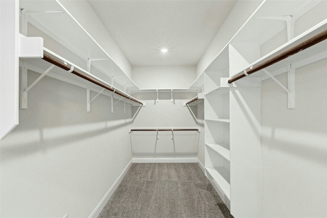 2309 Lone Spur Cv, Round Rock, TX 78665 - spacious closet with carpet flooring