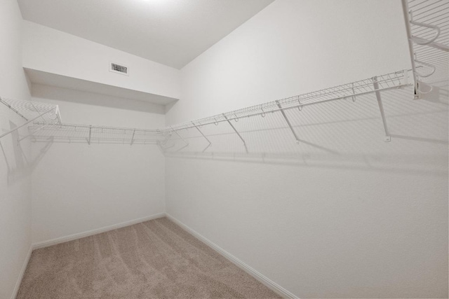 1267 Sanders, Kyle, TX 78640 - walk in closet with light colored carpet