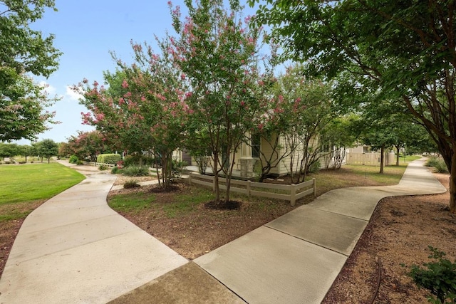 1267 Sanders, Kyle, TX 78640 - view of home's community featuring a yard