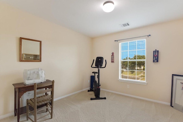401 Buttercup Creek Blvd Unit 1904, Cedar Park, TX 78613 - exercise room with carpet flooring