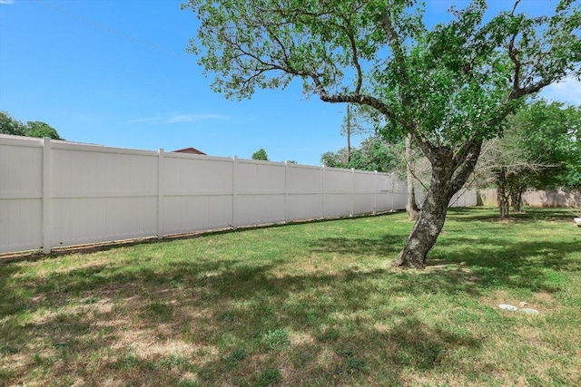 401 Buttercup Creek Blvd Unit 1904, Cedar Park, TX 78613 - view of yard