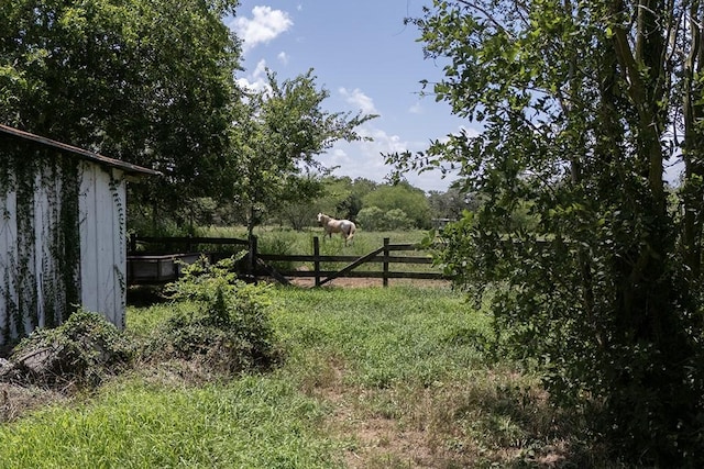 3508 Moulton Rd, Gonzales, TX 78629 - view of yard