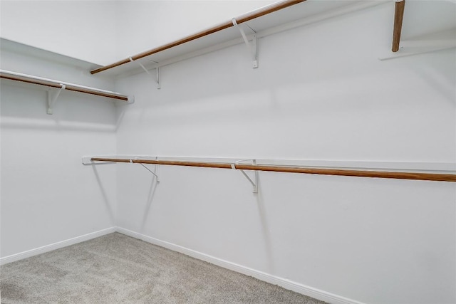 12608 Chittim Cir, Austin, TX 78732 - walk in closet with light colored carpet