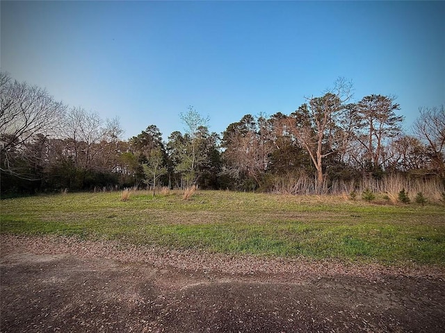2101 N Beatty Ave, Livingston, TX 77351 - photo 3