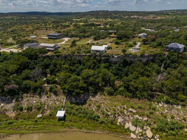 25633 Pedernales Point Dr, Spicewood, TX 78669 - drone / aerial view of a forest