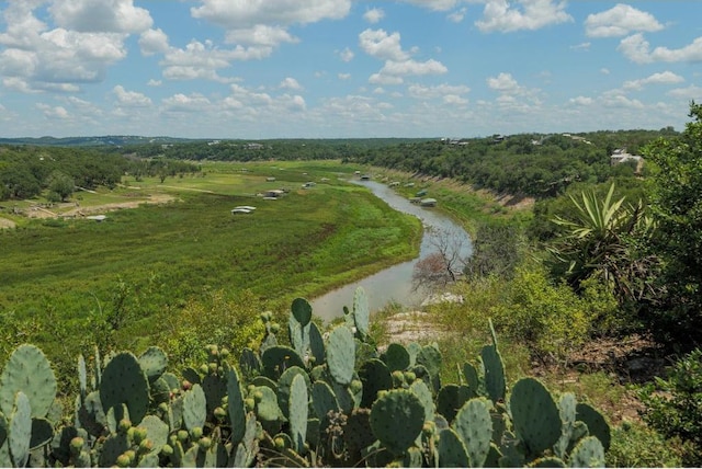 25633 Pedernales Point Dr, Spicewood, TX 78669 - aerial overview of property's location