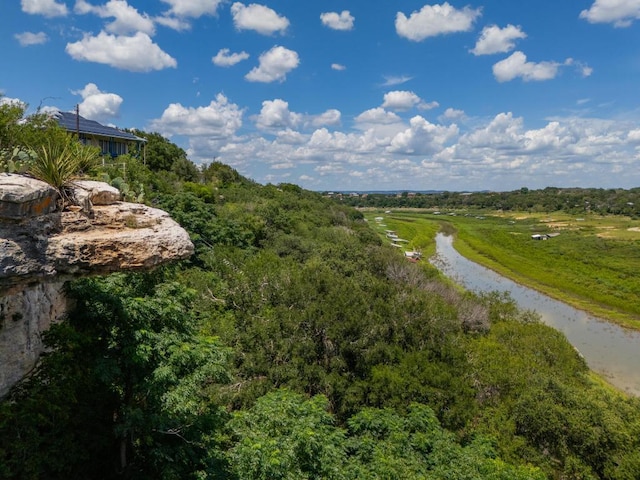 25633 Pedernales Point Dr, Spicewood, TX 78669 - view of home's community