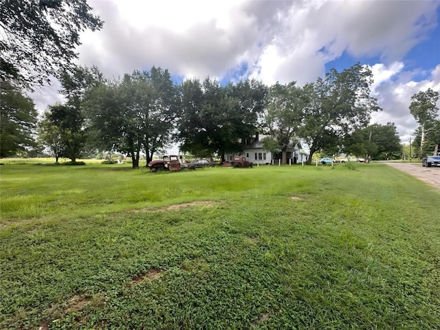 321 Douglas St, Lexington, TX 78947 - view of grassy yard