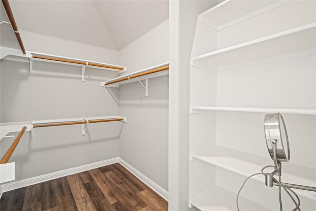 3792 Turetella Dr, Round Rock, TX 78681 - spacious closet with dark wood finished floors
