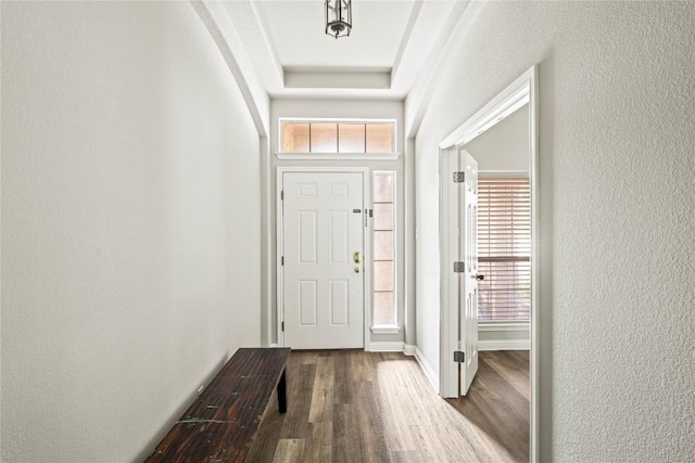 3792 Turetella Dr, Round Rock, TX 78681 - foyer with wood finished floors and a textured wall