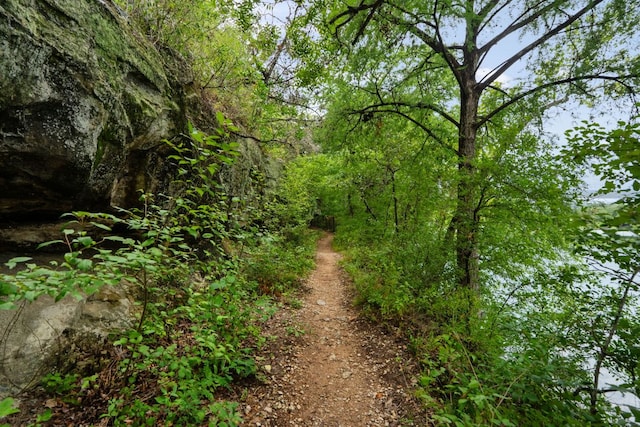 12309 Carlsbad Dr, Austin, TX 78738 - view of wooded area