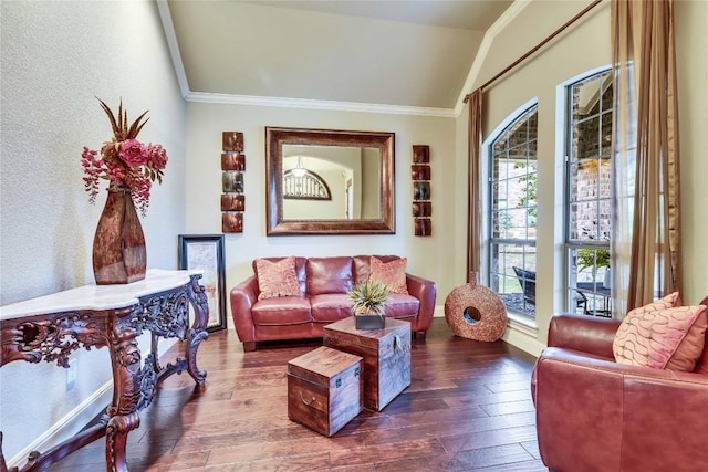 4108 Charbray Ct, Cedar Park, TX 78613 - living room featuring lofted ceiling, hardwood / wood-style flooring, and ornamental molding
