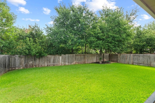 4013 Gloucester Dr, Cedar Park, TX 78613 - view of fenced backyard