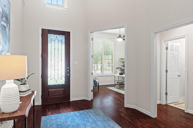 4013 Gloucester Dr, Cedar Park, TX 78613 - foyer entrance with wood finished floors, a high ceiling, and ceiling fan