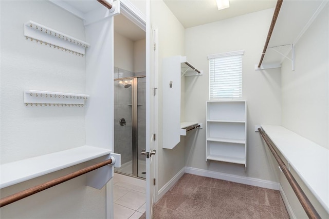 3805 Wales Ct Unit 611, Round Rock, TX 78681 - spacious closet featuring light carpet
