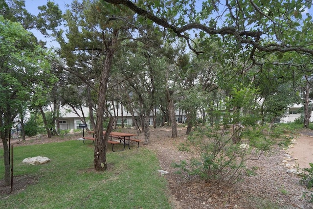 12001 Vista Parke Dr Unit 406, Austin, TX 78726 - view of grassy yard