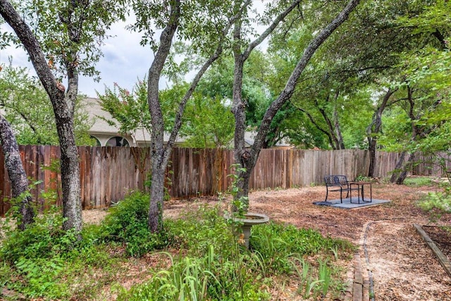 6604 Donner Cv, Austin, TX 78749 - view of fenced backyard