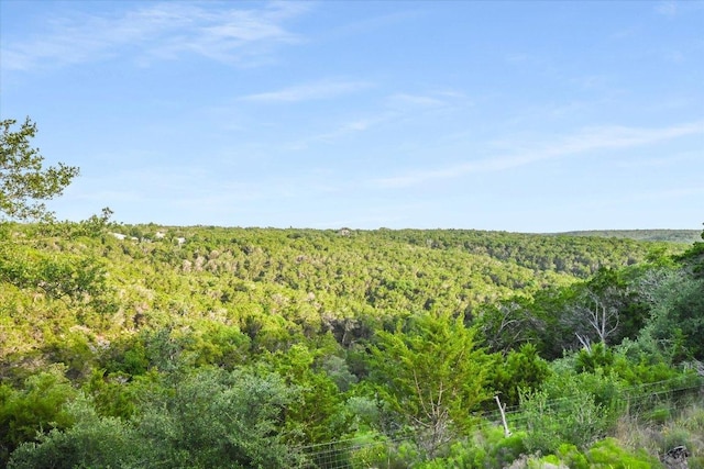 1124 River Mountain Rd, Wimberley, TX 78676 - photo 29