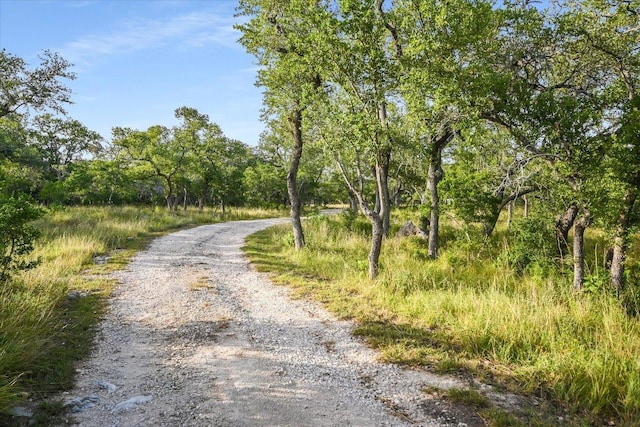 1124 River Mountain Rd, Wimberley, TX 78676 - photo 33