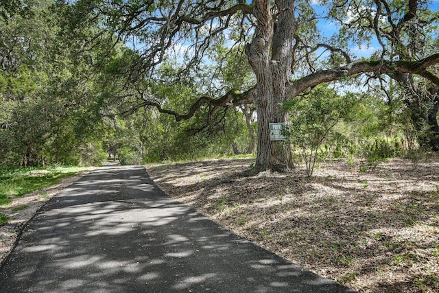 1124 River Mountain Rd, Wimberley, TX 78676 - photo 35