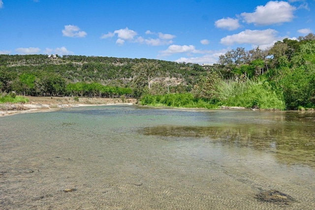 1124 River Mountain Rd, Wimberley, TX 78676 - photo 38