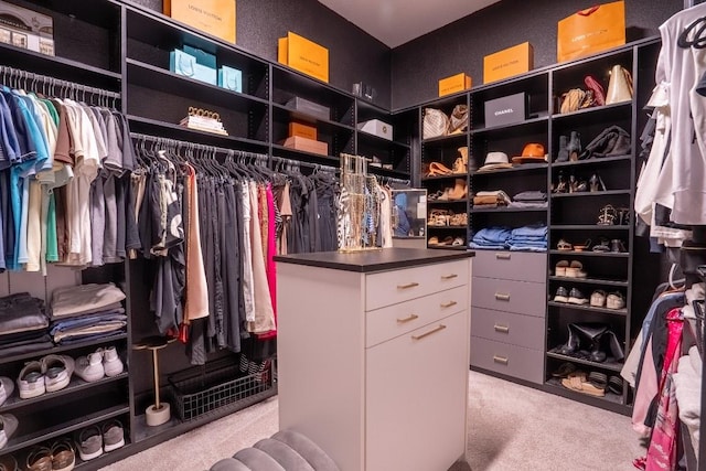 2220 Normandy Vw, Leander, TX 78641 - spacious closet with light colored carpet