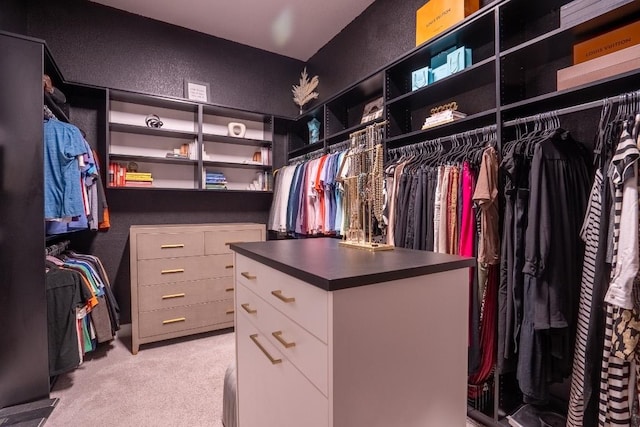 2220 Normandy Vw, Leander, TX 78641 - spacious closet with light colored carpet