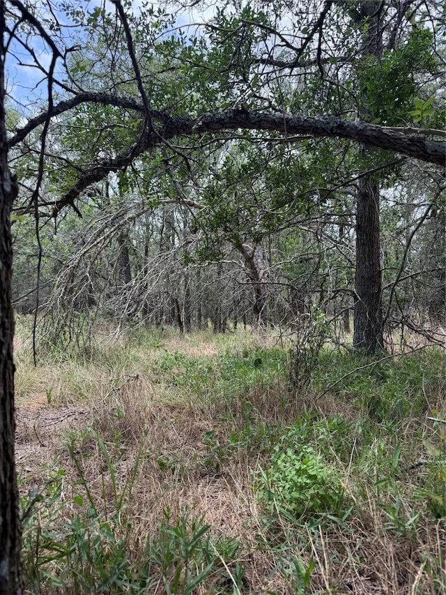 LOT686 Kawainui Ln, Bastrop, TX 78602